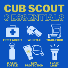 Cub Scout 6 Essentials